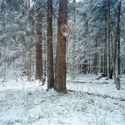 Доказательства памяти IV