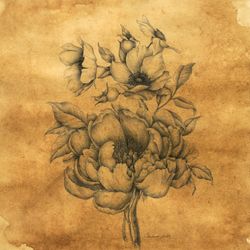 Flowers #2