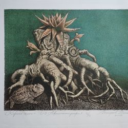 Корень алоэ