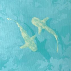 Maldivii