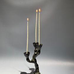 Кора