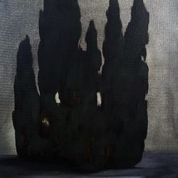 Кипарисы