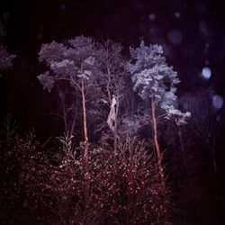 Untitled I