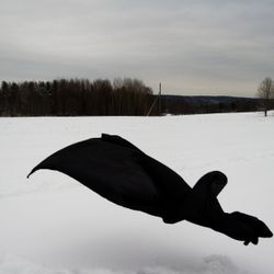 Бледная голубая точка VI