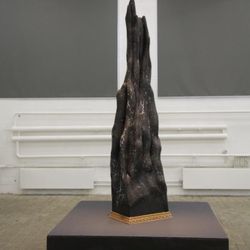 Из серии "Термитники-2"