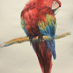 Ара