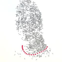 Женский портрет