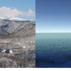 The Dark Side of the Landscape I