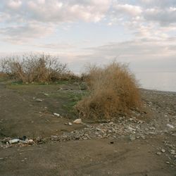 Реверс II. 90x105