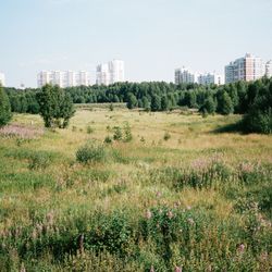 Социальное жилье III