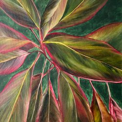 Tropical Plant