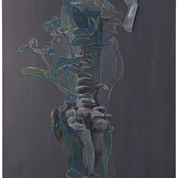 Limb