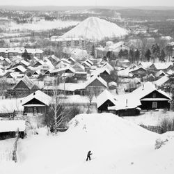 36 видов I
