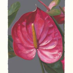 III