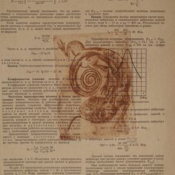 Ящерица