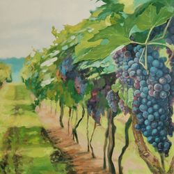 Виноградное изобилие