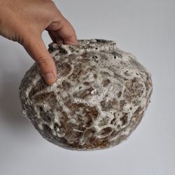 Кора времени