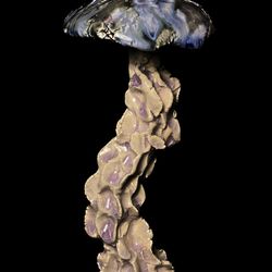 Fantastic mushroom