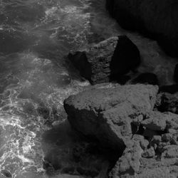 Demarcation XIII