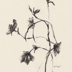 Fleur 07