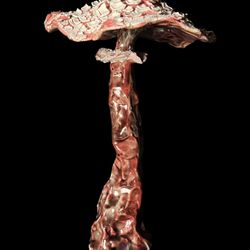 Fantastic mushroom