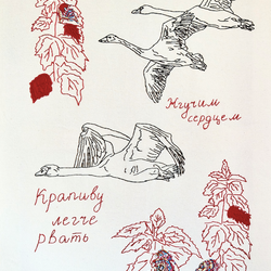 Братья-лебеди
