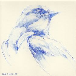 Swallow 1
