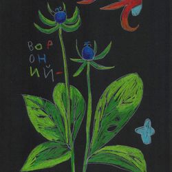 Вороний глаз