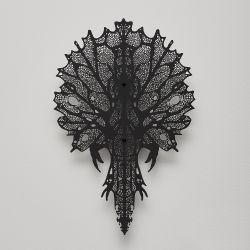 Umbra xenos 5