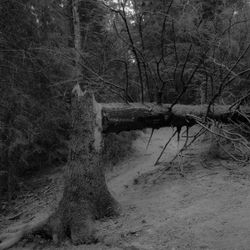 Demarcation II