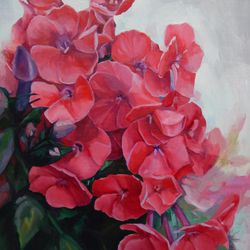 Красные флоксы