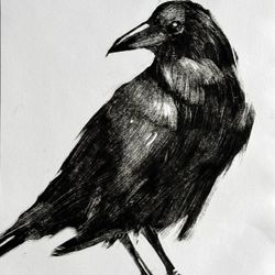 Raven