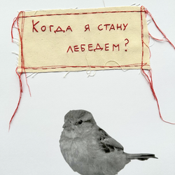 Принцы-воробушки