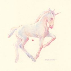 Unicorn foal