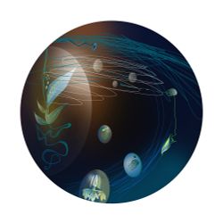Картины мира. Вид 10