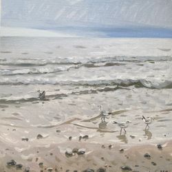 Чайки. Куршская коса