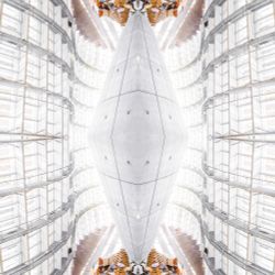 OSMETRY Tokyo II