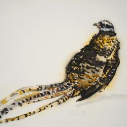 Королевский фазан
