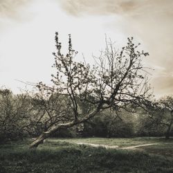 Untitled I