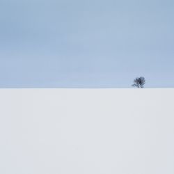 Winter blues