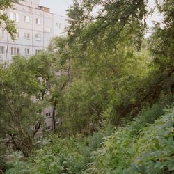 Аркадия. Владивосток