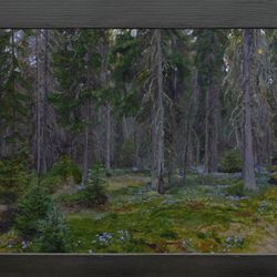 Аметистовая россыпь