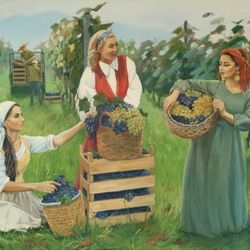 Сборщицы винограда