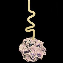 Подсвечник из серии "Gum"