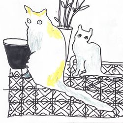 Kotiki