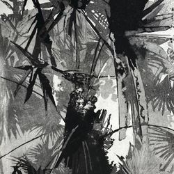 Palm (I)