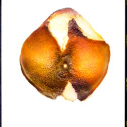 If I were as dumb and cunning as Jeff Koons, I’d call this piece “Kim Kardashian, the Best"/Если бы я был такой же тупой и хитрый как Джеф Кунс – я бы назвал это произведение Ким Кардашьян, лучшее.