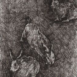 Bunnies