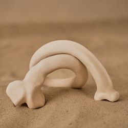 Вертлявая кость