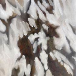 Последние лучи заката